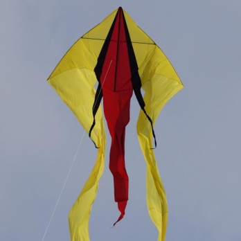 CIM F-tail red-black-yellow