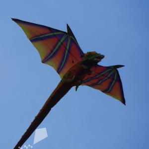 X-Kites - 3D Dragon                           