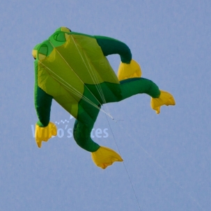 Wolkensturmer - Fritz the Frog 