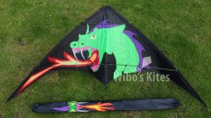 Go Fly A Kite  - Dragon