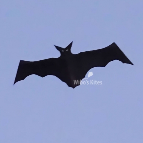 Mini Bat